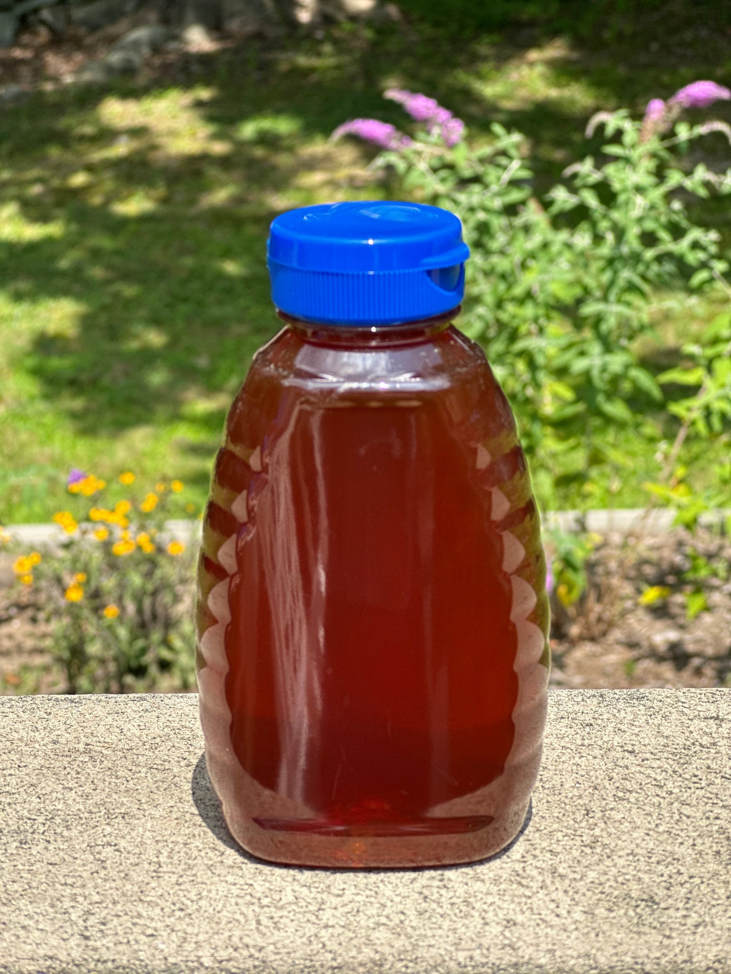 2022 Fall Honey in Plastic Jar - 1lb